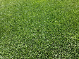 Césped artificial en Barcelona