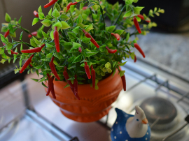 Deliciosas pochas a la Navarra en olla a presión: descubre la receta más rápida y sabrosa