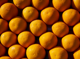 Delicioso y Jugoso: Receta de Paletilla de Cordero al Horno al estilo Karlos Arguiñano