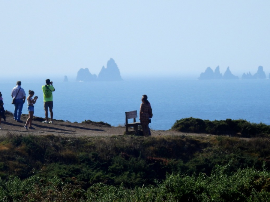 Descubre la Fascinación del Wasabi: Análisis Positivo de un Producto Internacional Exquisito