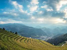 Enoturismo en verano. La mejor época para adentrarse en el mundo del vino