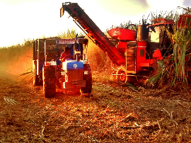 LAMBERTS - Osteoguard® ADVANCE (90caps)