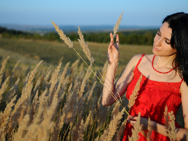 Laudum Chardonnay Joven ECO