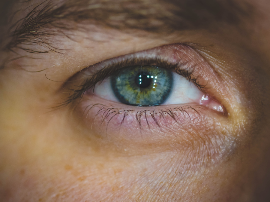 LOS OJOS DE LA PIEL