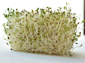 PAN DE ESPELTA GERMINADO 400G