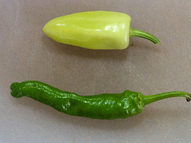 Pimientos Rellenos de Arroz de la Abuela: Receta Tradicional y Deliciosa para Sorprender en la Cocina