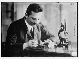 Trucos y Problemas para camperizar RIFTER