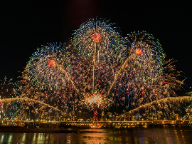 Uso de la luz artificial en invernaderos mediterráneos