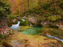 Vino Ederra Reserva - Opiniones y Análisis