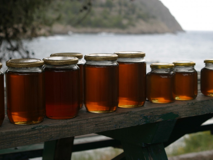 abono organico liquido garrafa 20 l soloamino