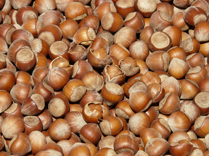 avellanas molidas harina eco granel