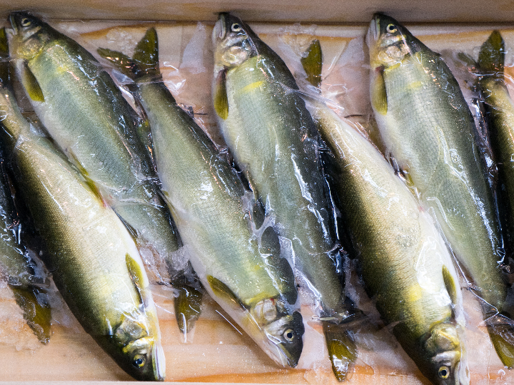 bonito a la brasa recetas