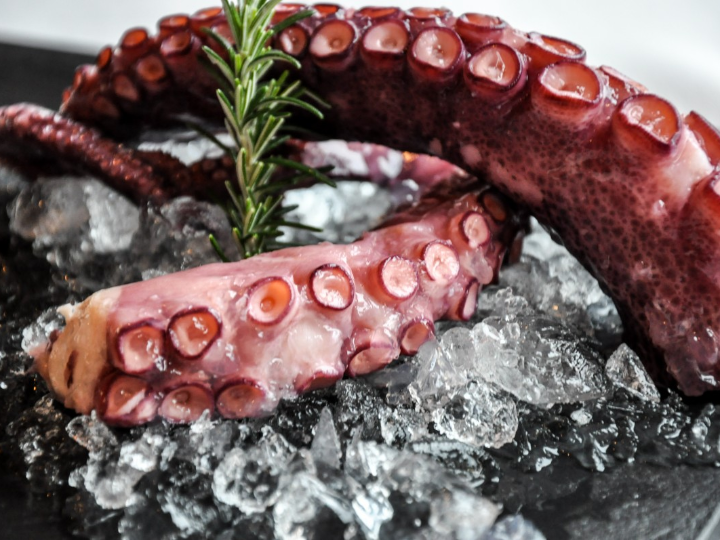 descubre por que el cervelat es la joya de la gastronomia internacional analisis positivos de este exquisito embutido