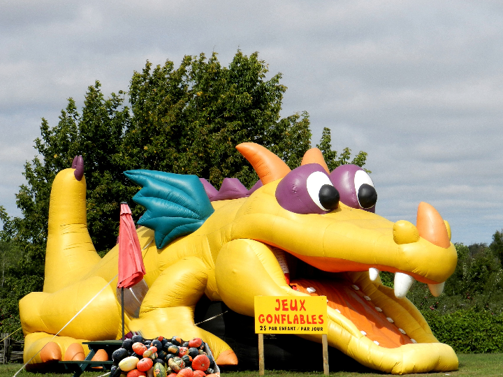 espolvoreador pulmic dragon 12k