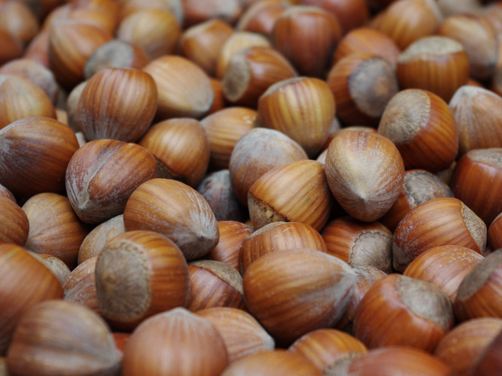 nocilla sin avellanas en mercadona una opcion deliciosa para los amantes del chocolate