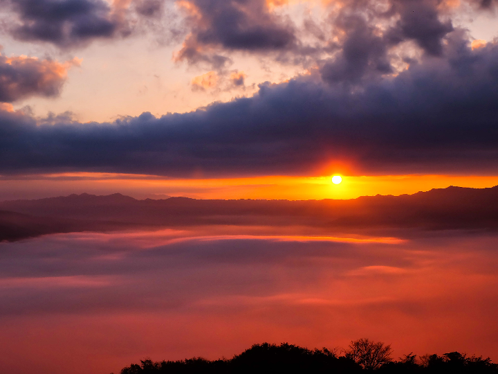 presostato caldera diagnostico y reparacion