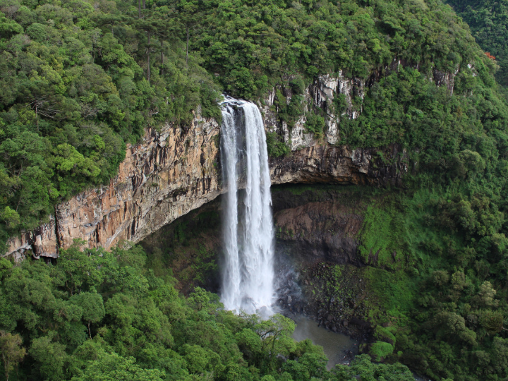 reconstruccion coronaria en que consiste