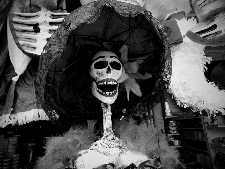 resena calaveras de sedlec